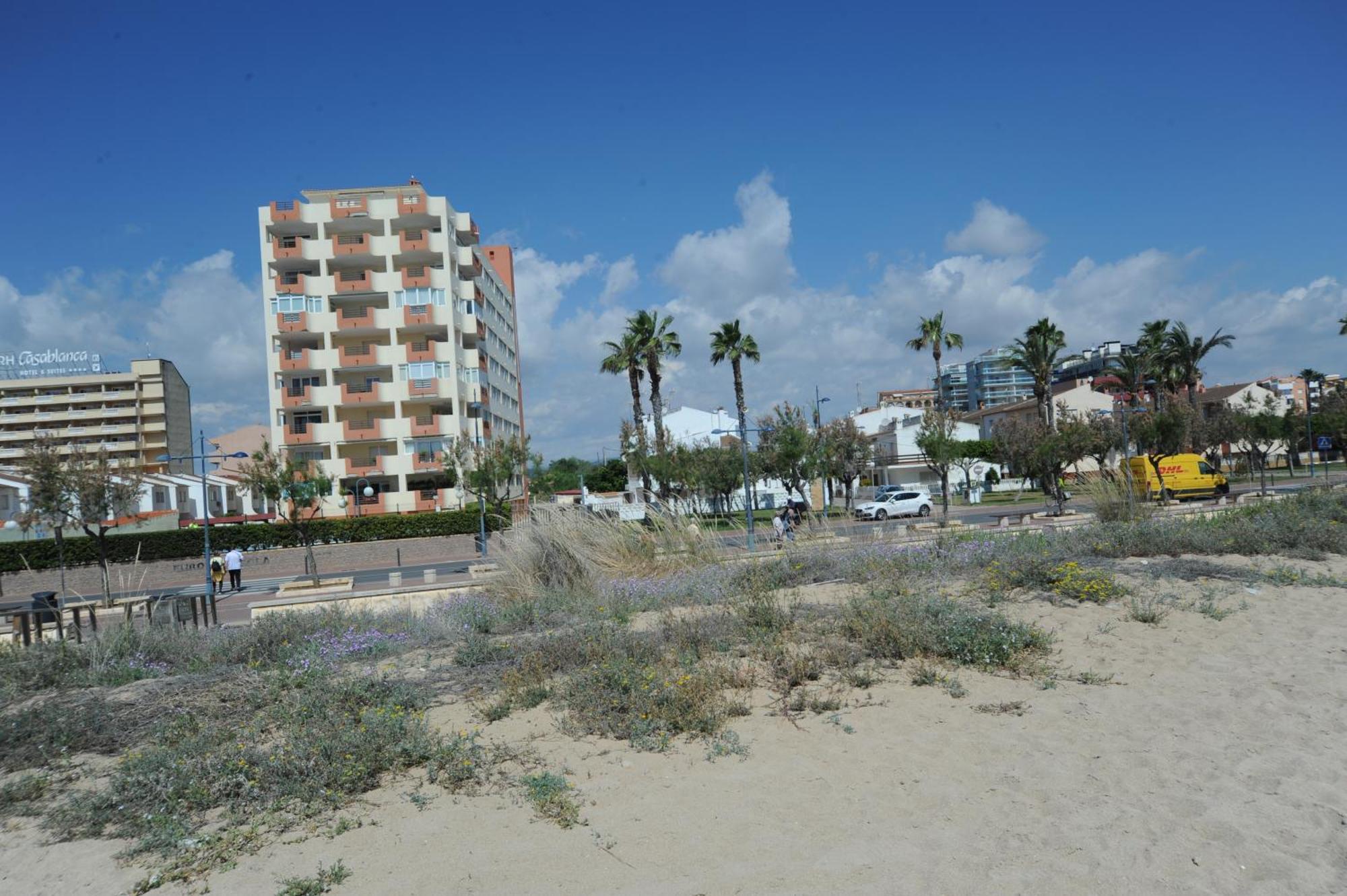 Europeniscola Superior Orangecosta Apartment Exterior photo